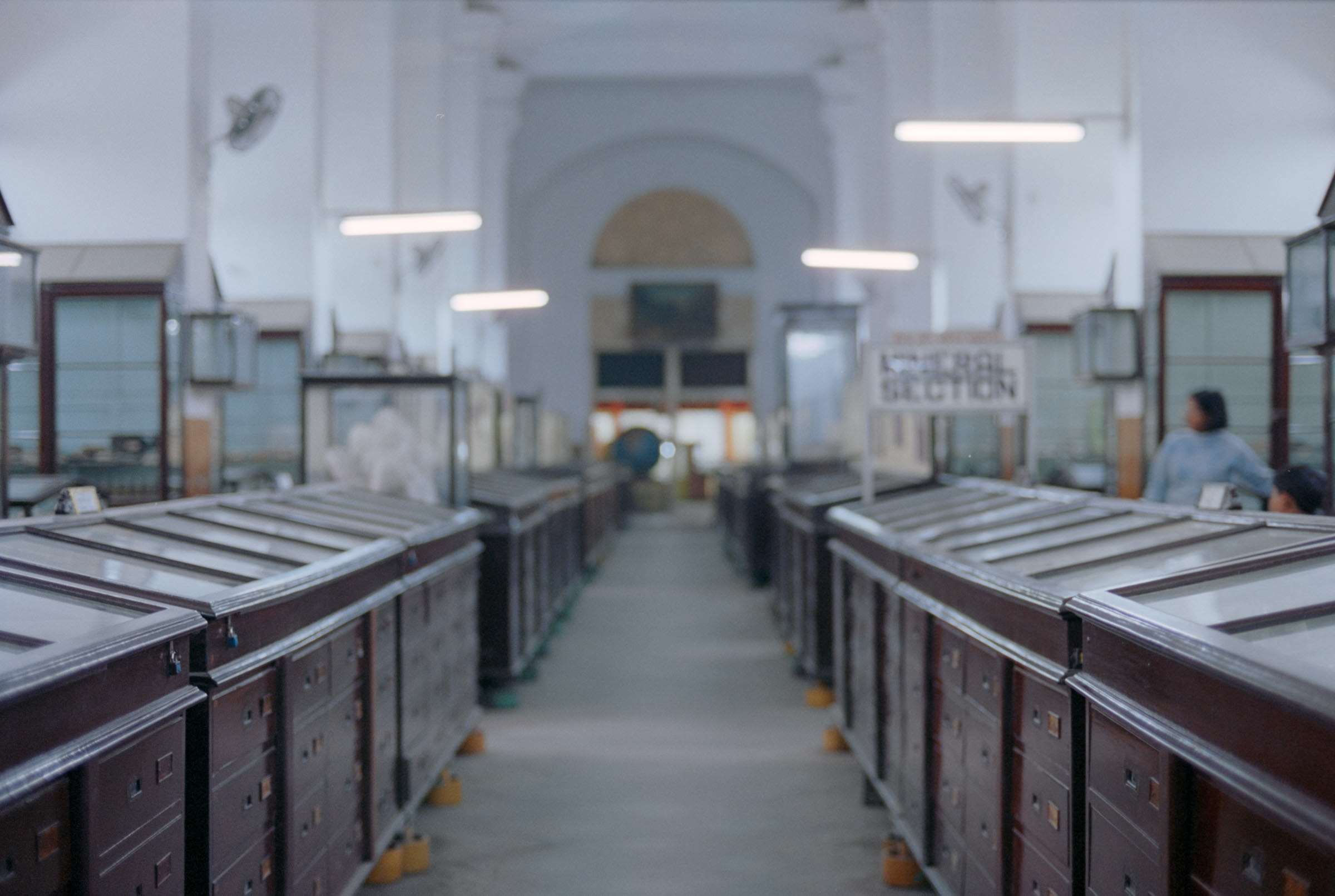 AHP film 2005 01 002 sc240825 img15 NLP